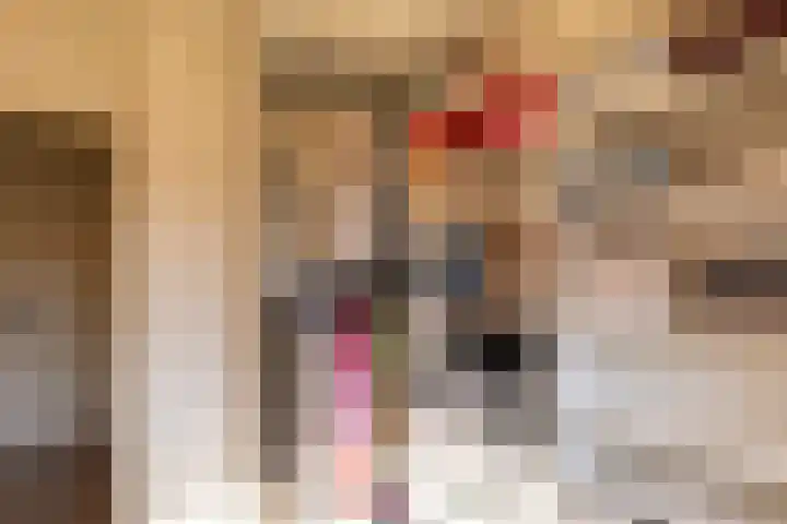 Vendeliers 42 Ulft thumbnail 33