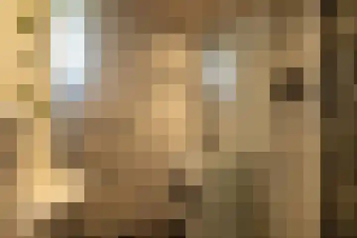 Vendeliers 42 Ulft thumbnail 36