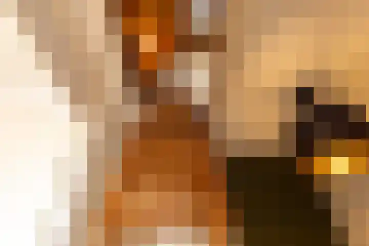 Vendeliers 42 Ulft thumbnail 38
