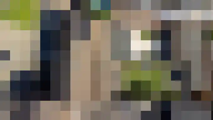 Vendeliers 42 Ulft thumbnail 4