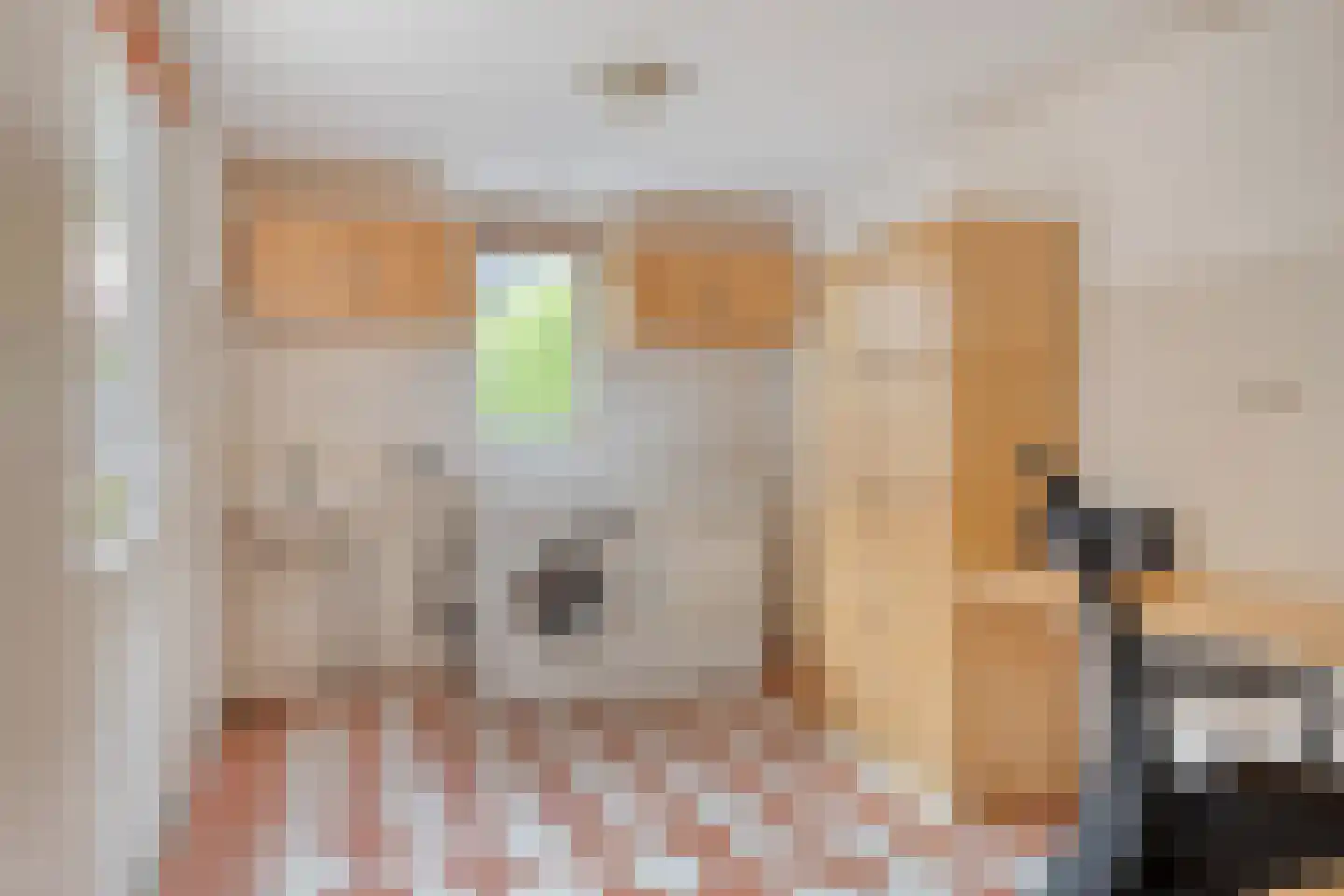 Vendeliers 57 Ulft thumbnail 23