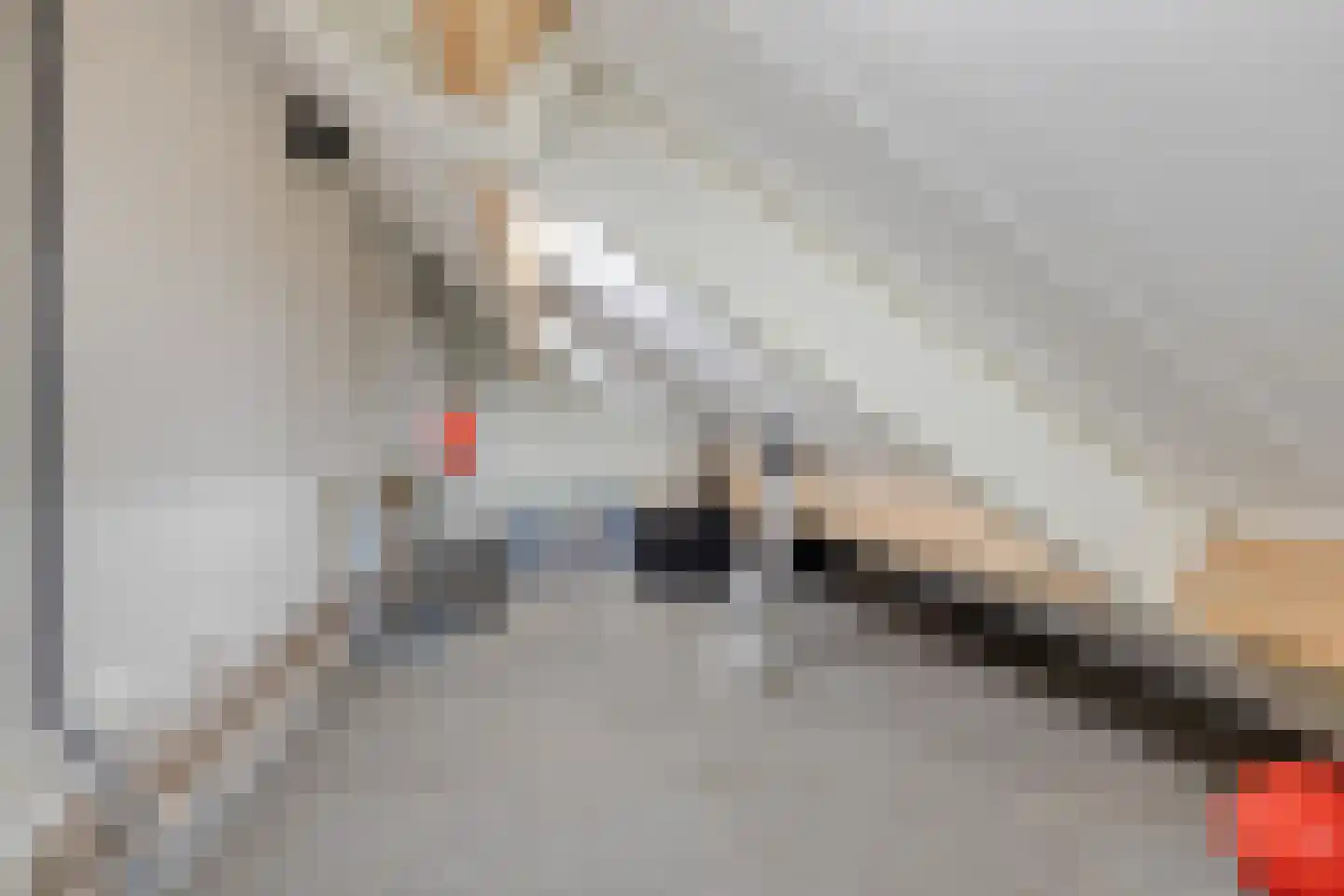 Vendeliers 57 Ulft thumbnail 38