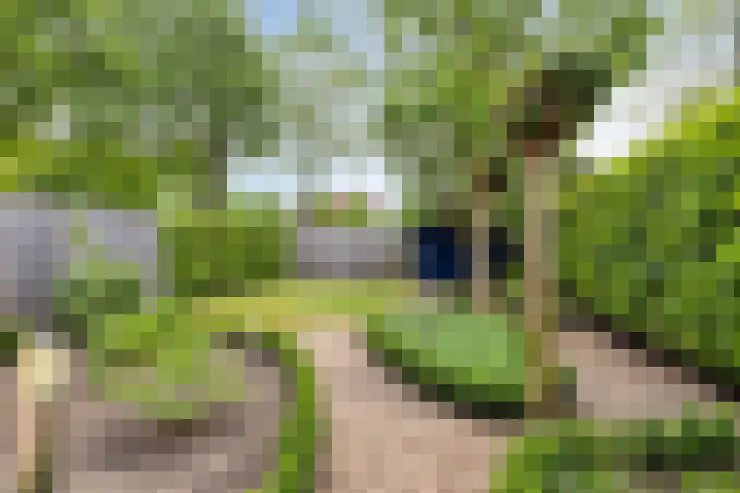 Vendeliers 57 Ulft thumbnail 4