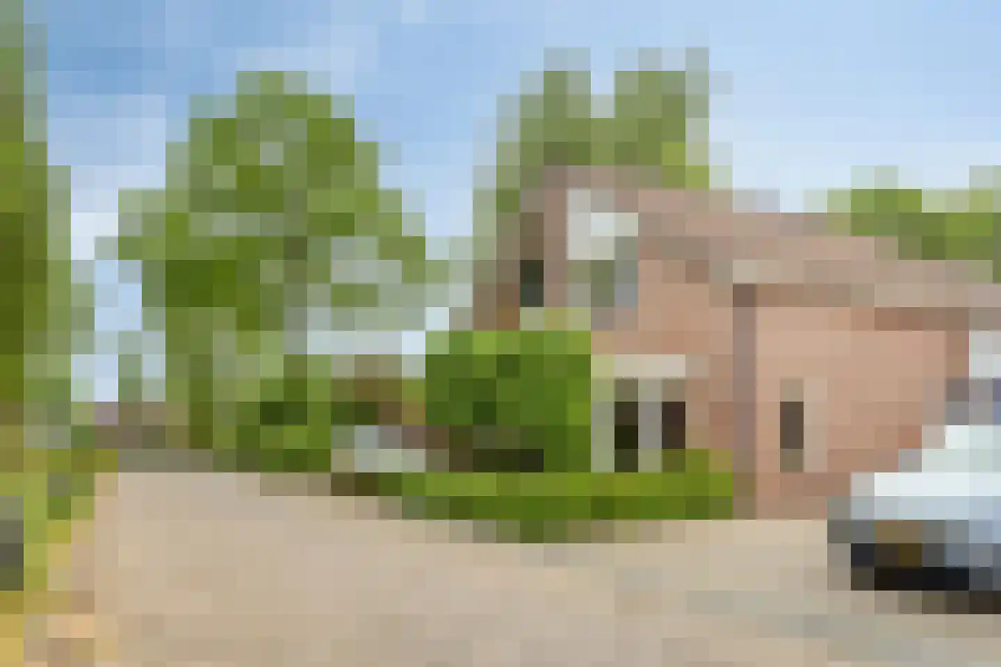 Vendeliers 57 Ulft thumbnail 45