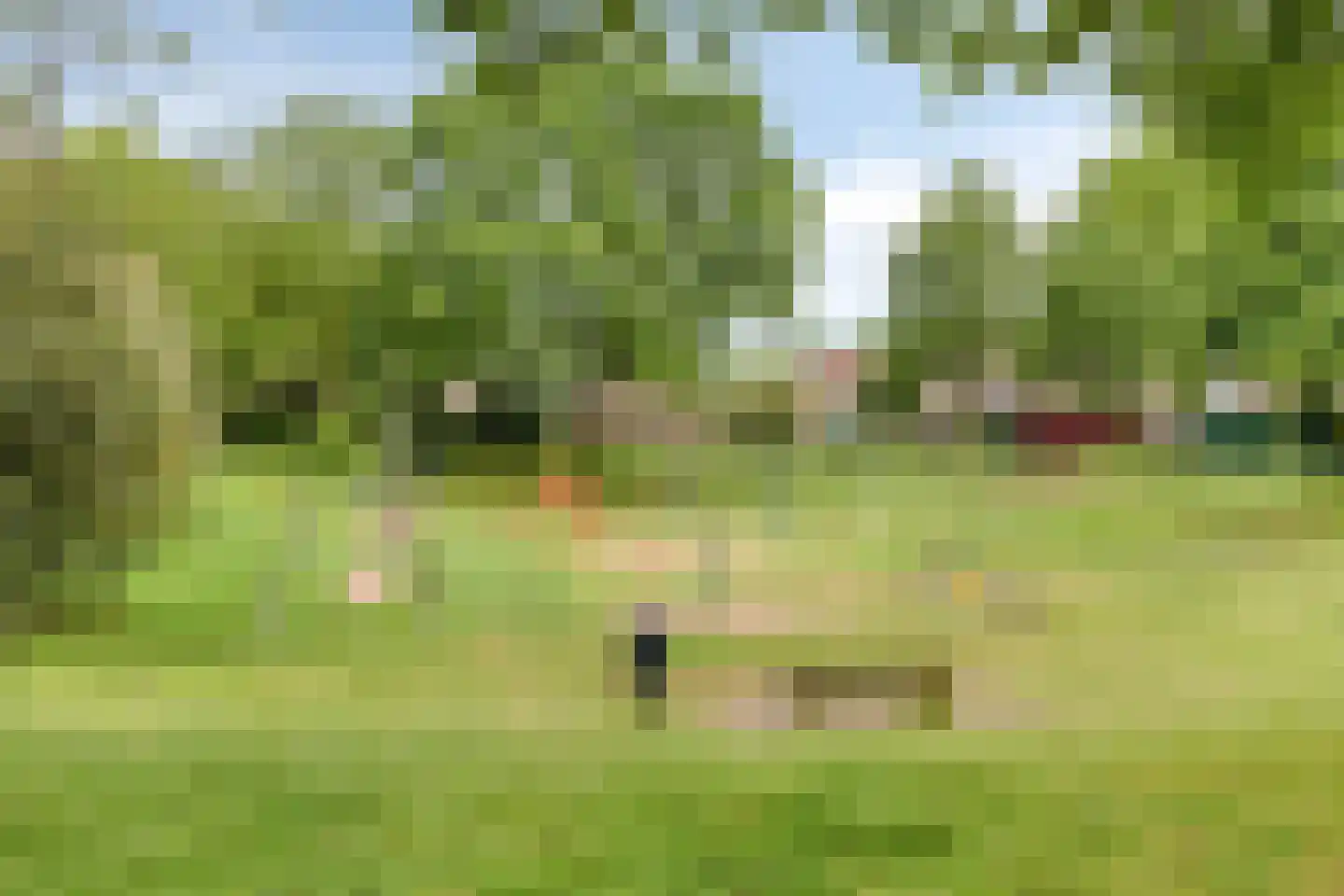Vendeliers 57 Ulft thumbnail 46