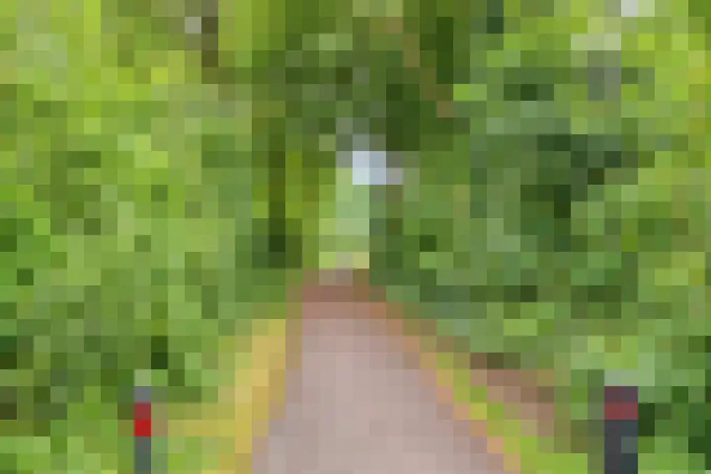 Vendeliers 57 Ulft thumbnail 47