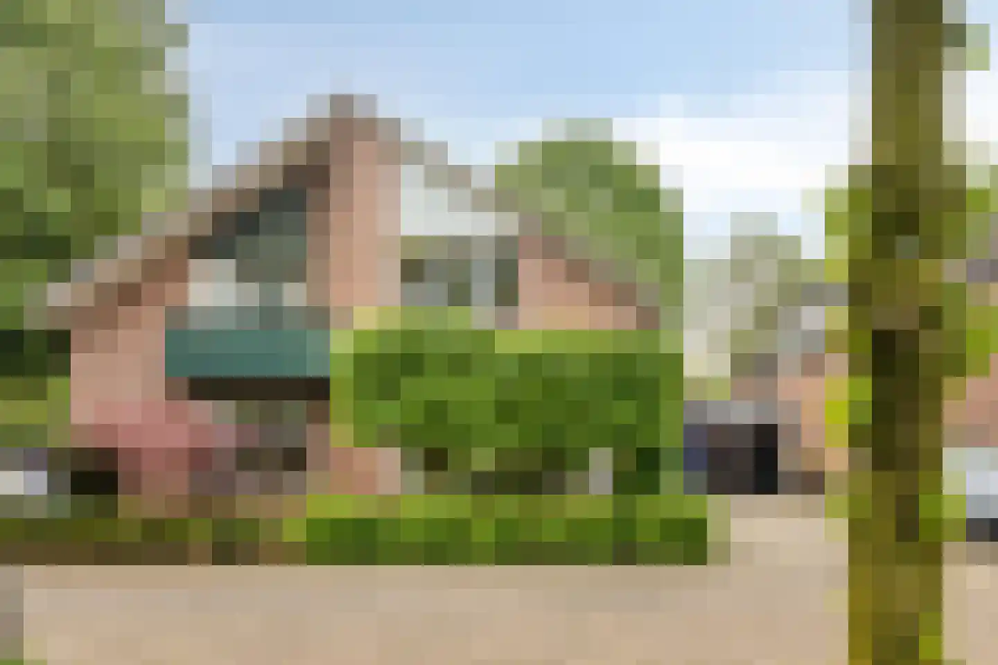 Vendeliers 57 Ulft thumbnail 6