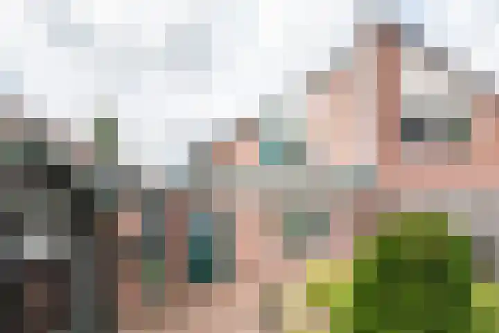 Vendeliers 61 Ulft thumbnail 29