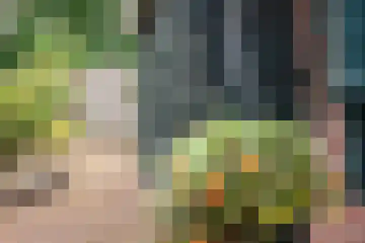 Vendeliers 61 Ulft thumbnail 35