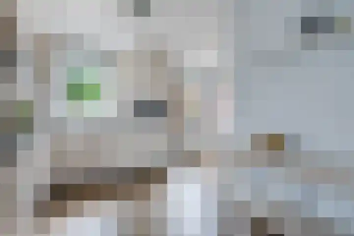 Vendelierskamp 17 a Vianen NB thumbnail 11