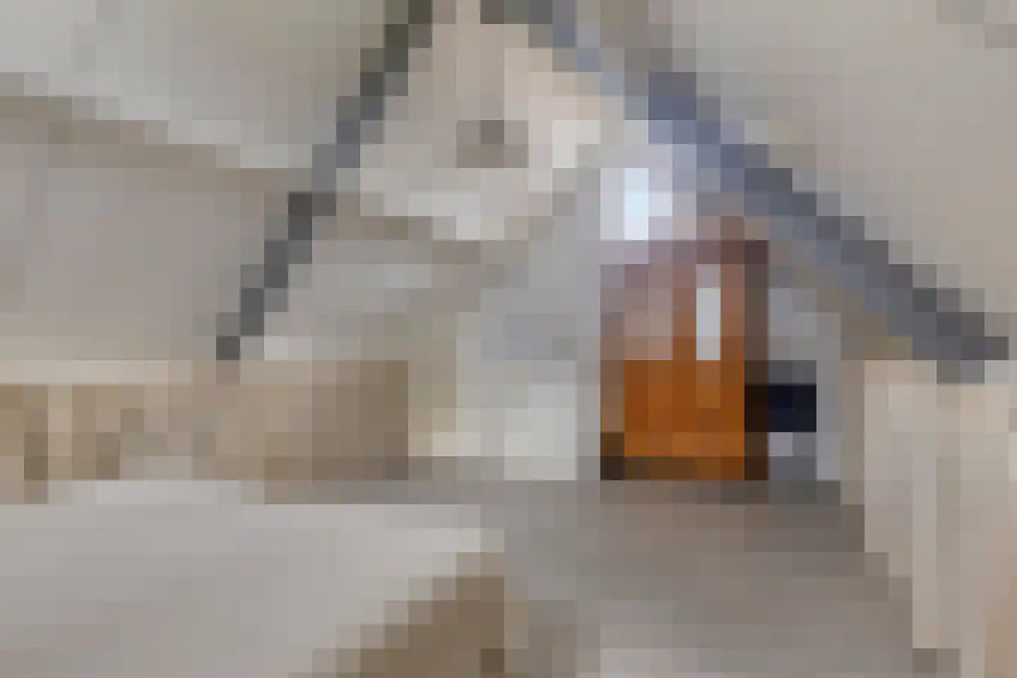 Vendelierskamp 19 Vianen NB thumbnail 36