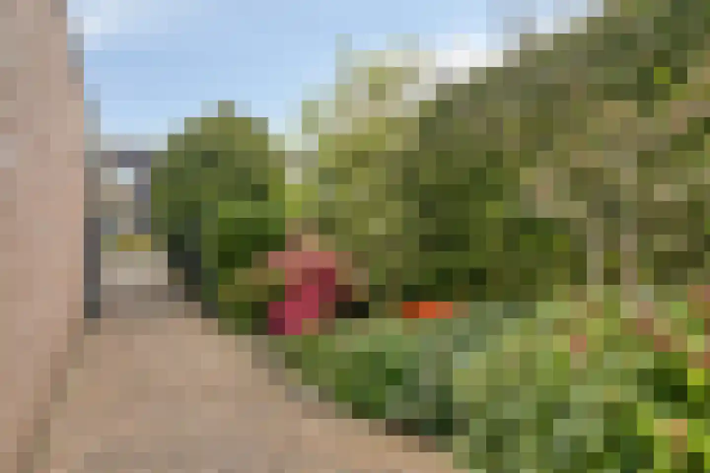 Vendelierskamp 19 Vianen NB thumbnail 43