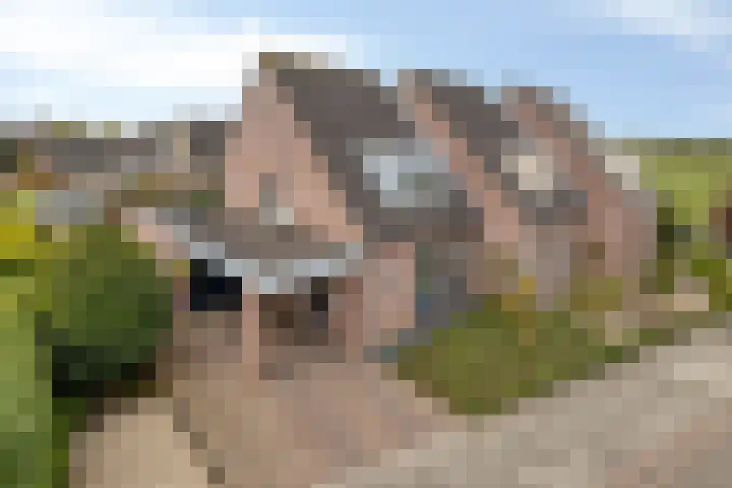 Vendelierskamp 19 Vianen NB thumbnail 8