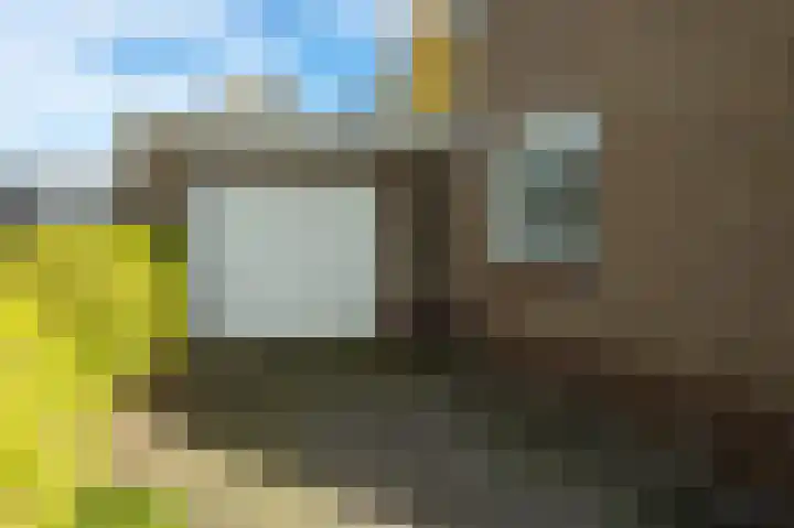 Vendelierskamp 20 Vianen NB thumbnail 29