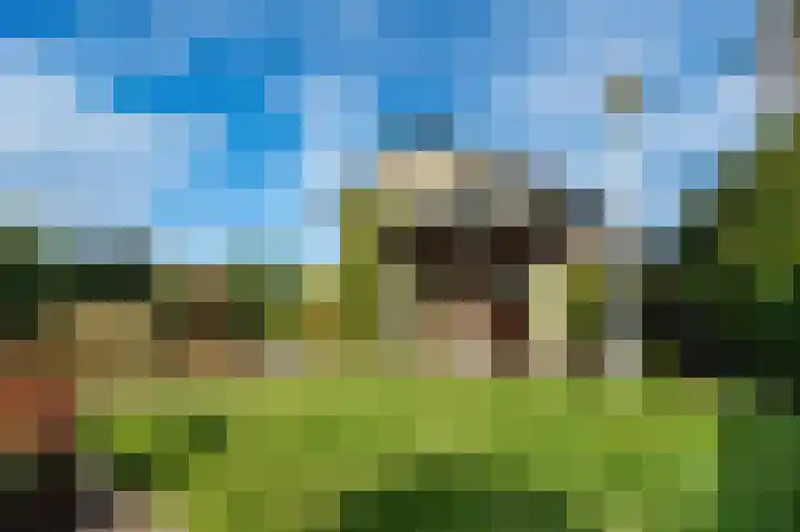 Vendelierskamp 20 Vianen NB thumbnail 35