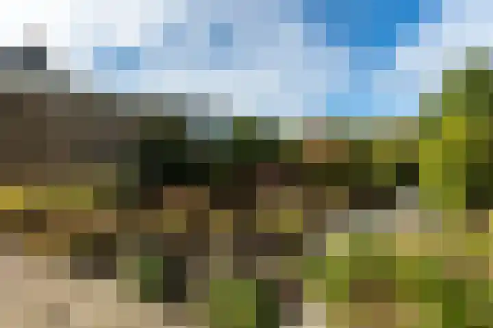 Vendelierskamp 20 Vianen NB thumbnail 36