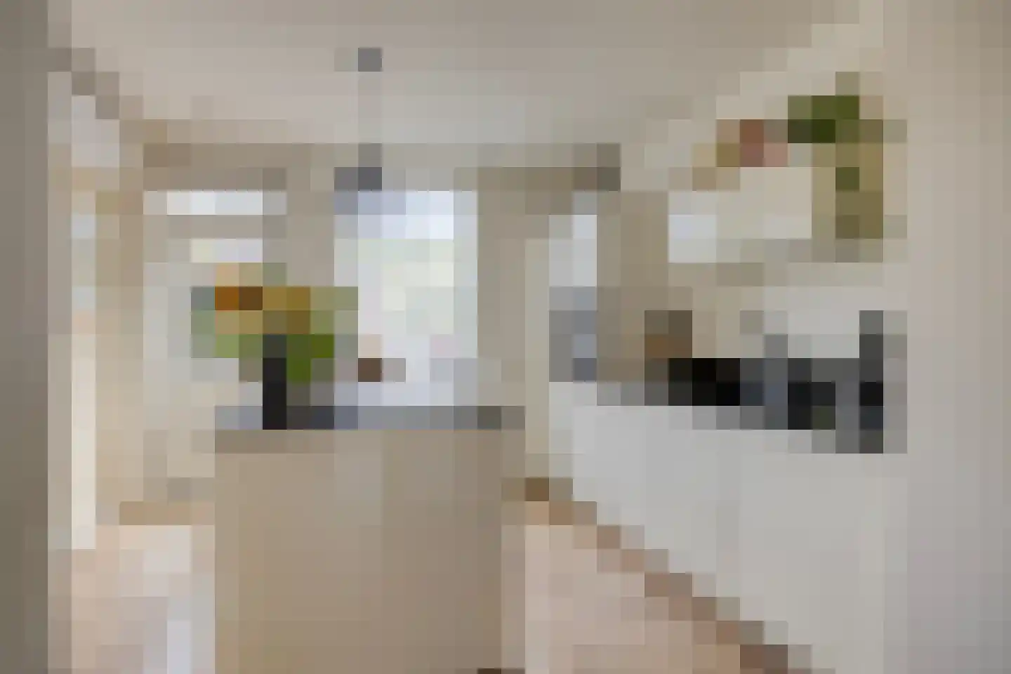 Vendeliersstraat 19 Tilburg thumbnail 20