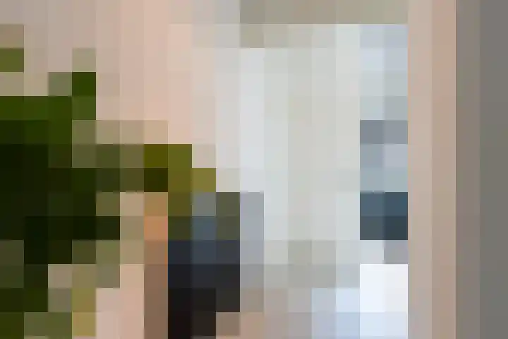 Vendeliersstraat 51 Tilburg thumbnail 10