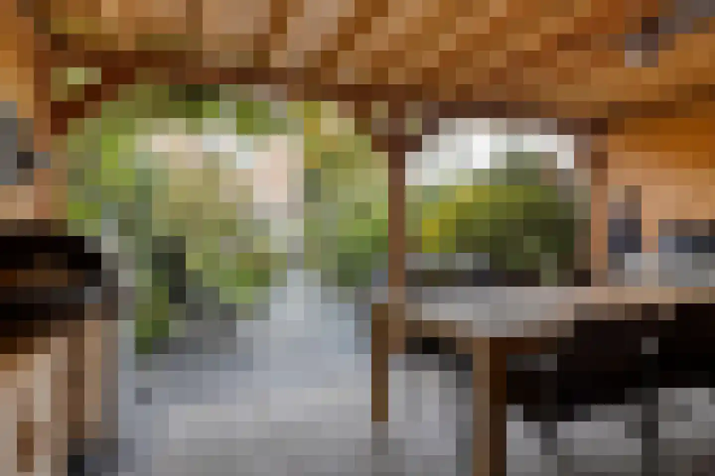 Vendeliersstraat 75 Tilburg thumbnail 36