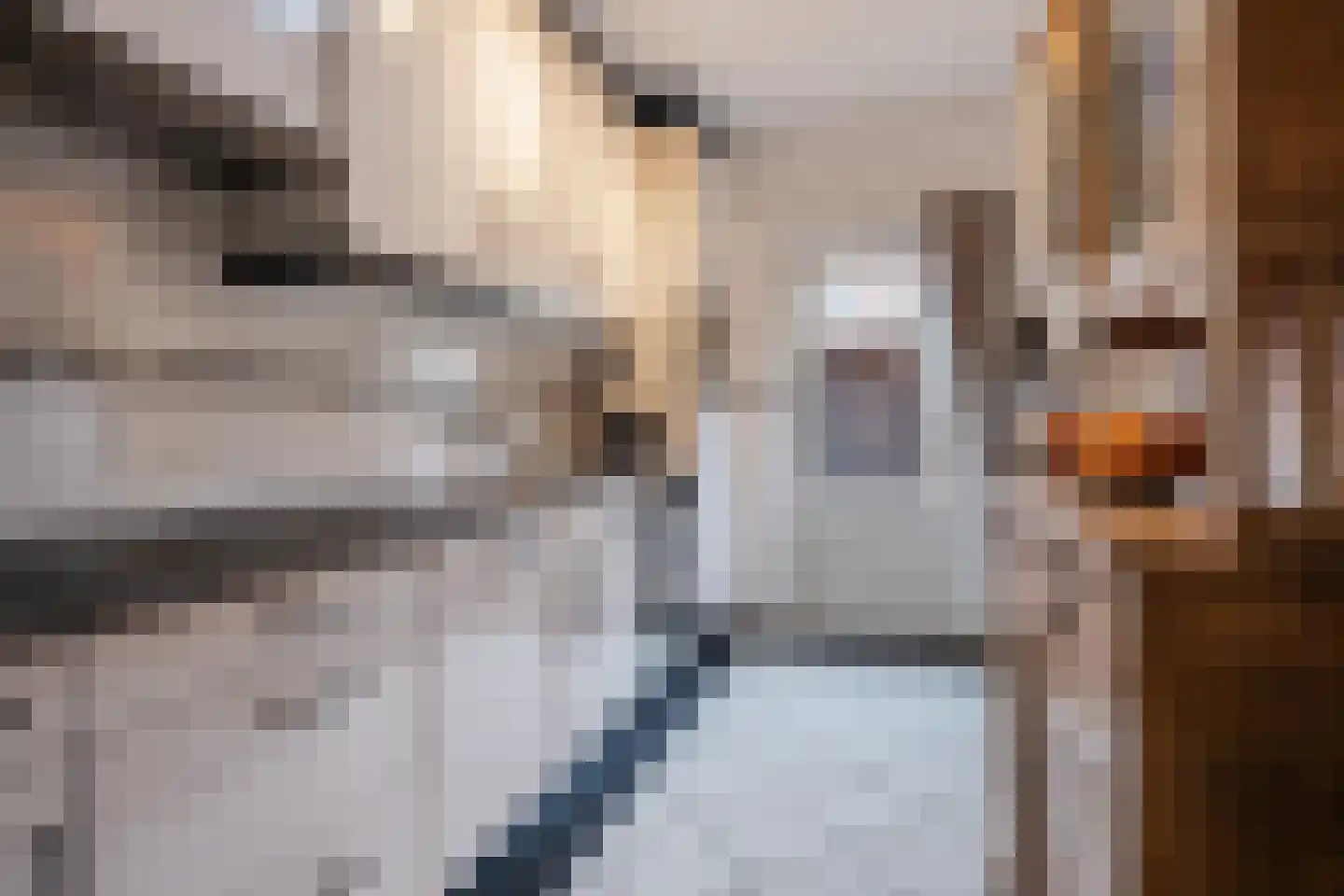 Vendelierstraat 10 Duizel thumbnail 12