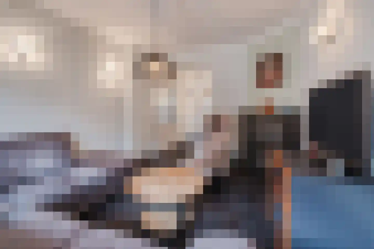 Vendelierstraat 10 Duizel thumbnail 8