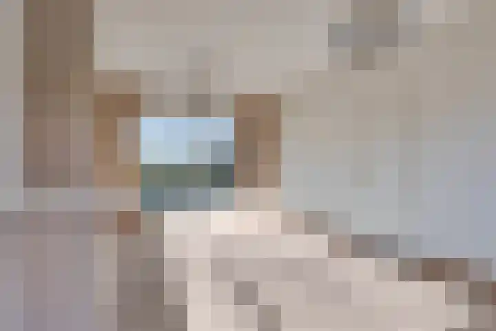 Vendelierstraat 10 Oirschot thumbnail 10