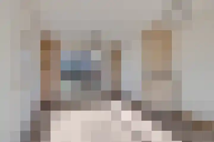 Vendelierstraat 10 Oirschot thumbnail 11