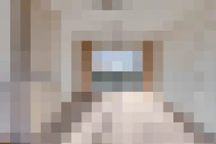 Vendelierstraat 10 Oirschot thumbnail 12