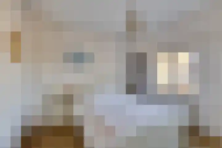 Vendelierstraat 10 Oirschot thumbnail 16