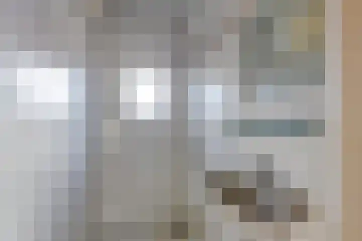 Vendelierstraat 10 Oirschot thumbnail 21