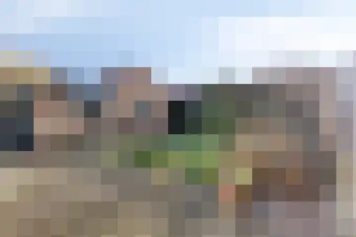 Vendelierstraat 10 Oirschot thumbnail 23