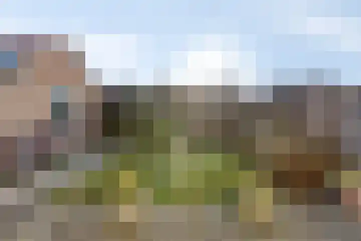 Vendelierstraat 10 Oirschot thumbnail 5