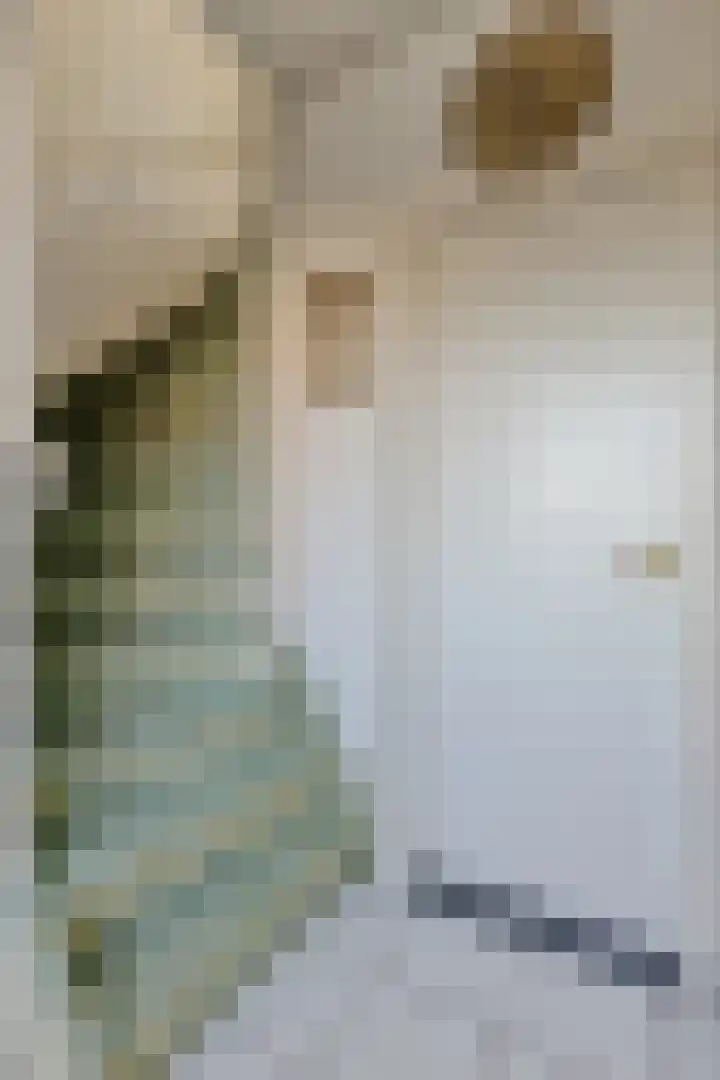 Vendelierstraat 10 Oirschot thumbnail 8