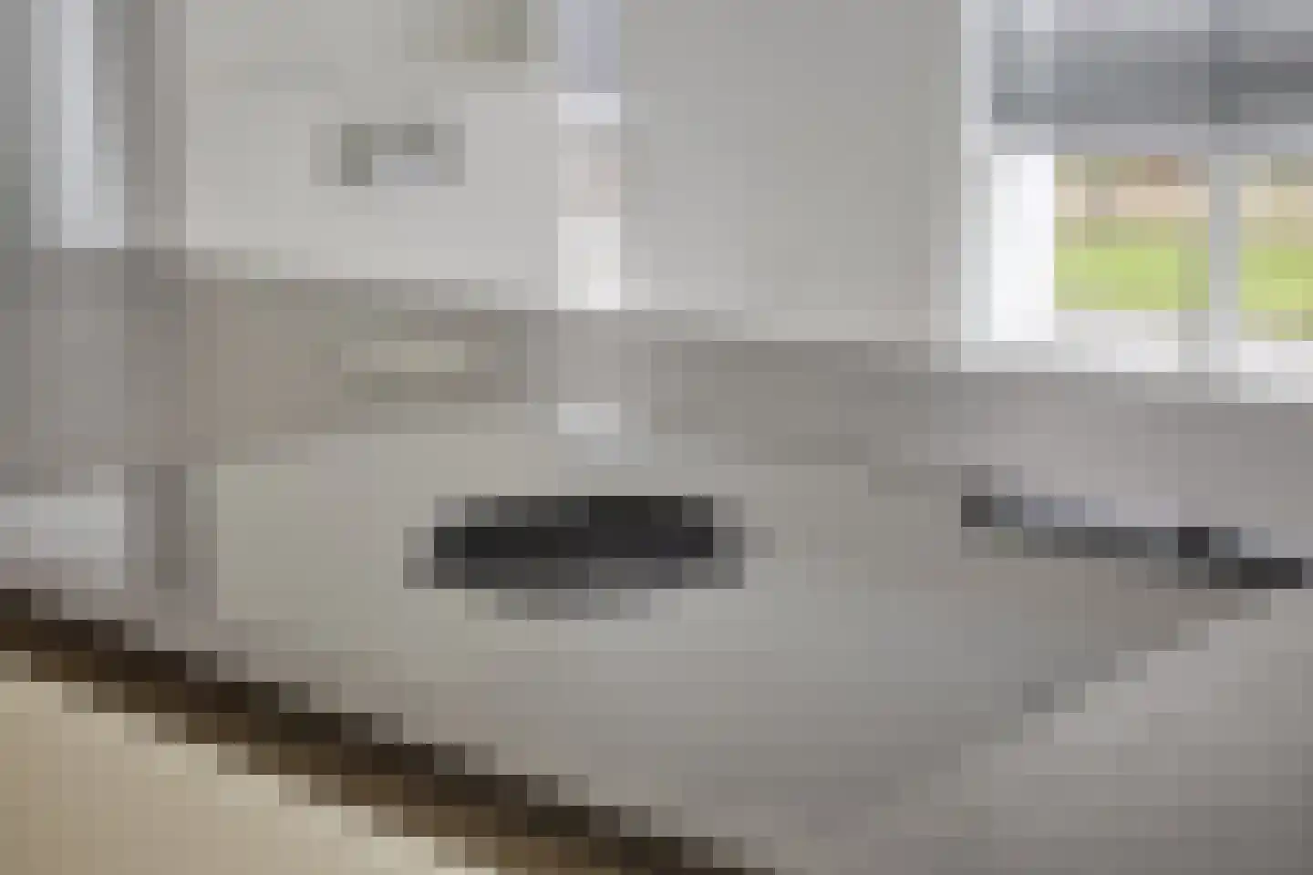 Vendelierstraat 10 Valkenswaard thumbnail 12