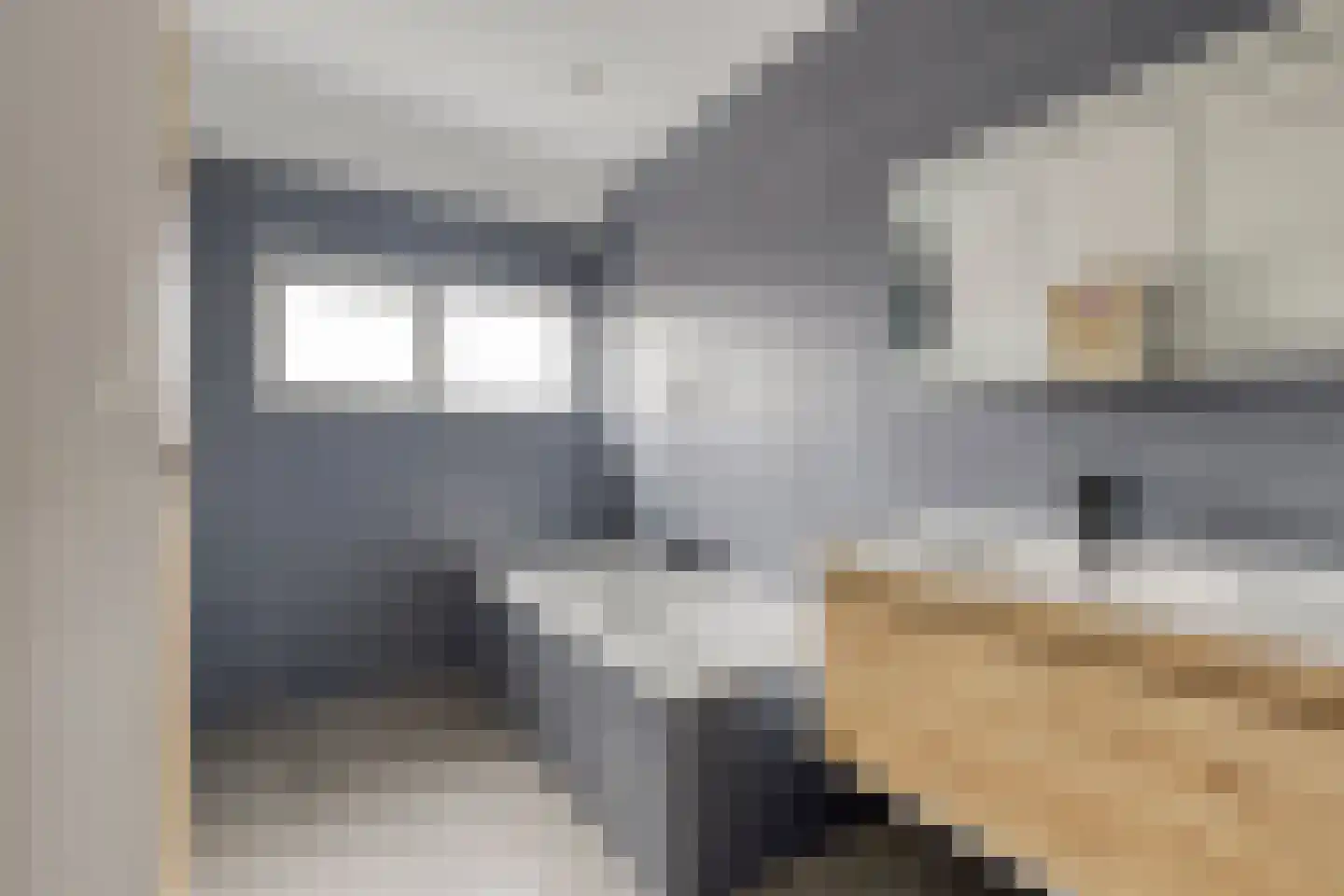 Vendelierstraat 10 Valkenswaard thumbnail 40