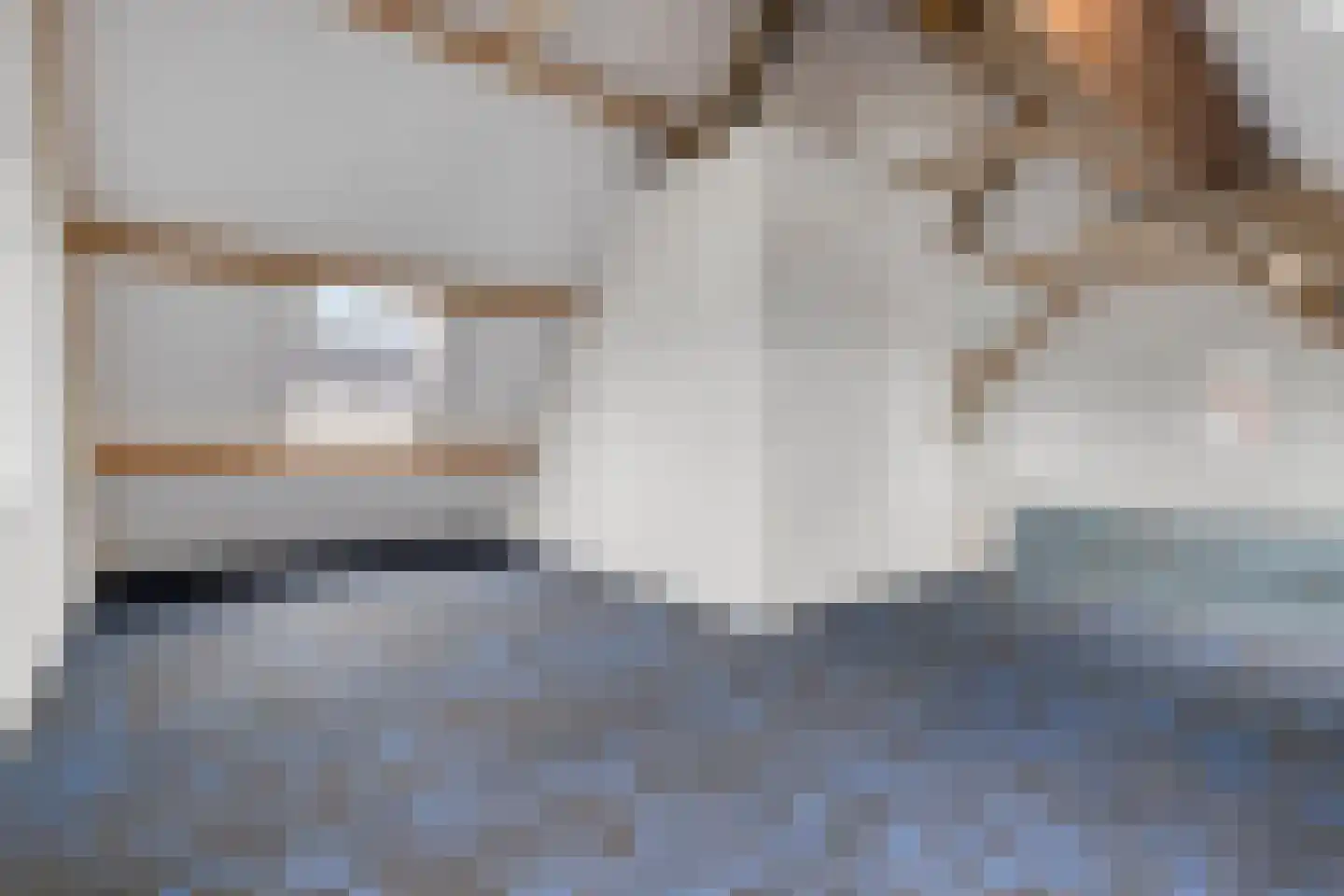Vendelierstraat 10 Valkenswaard thumbnail 47