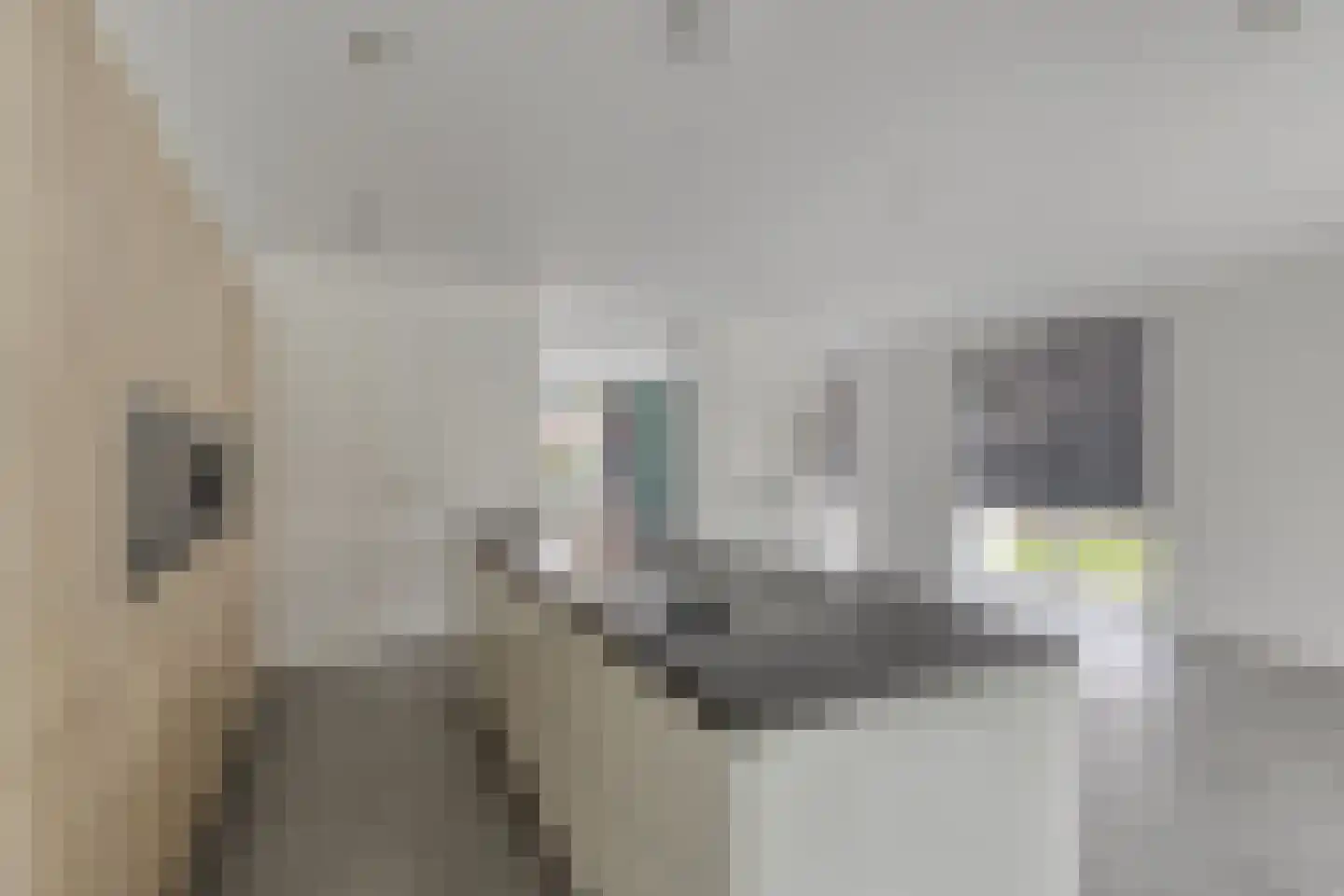 Vendelierstraat 10 Valkenswaard thumbnail 9