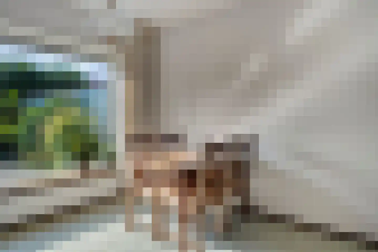 Vendelierstraat 12 Oirschot thumbnail 13
