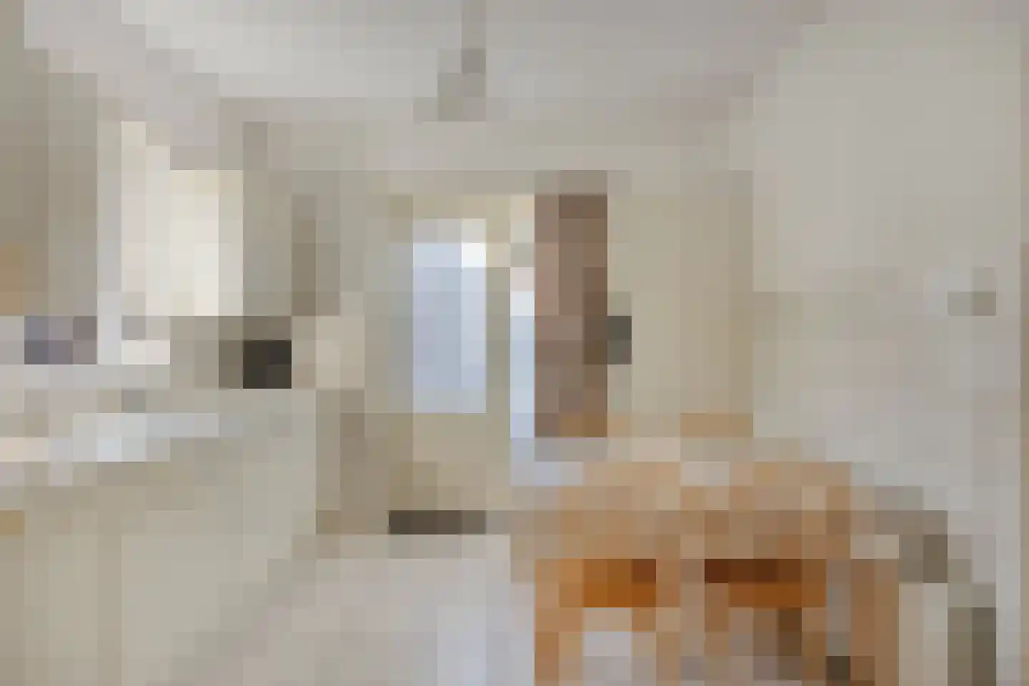 Vendelierstraat 12 Oirschot thumbnail 14