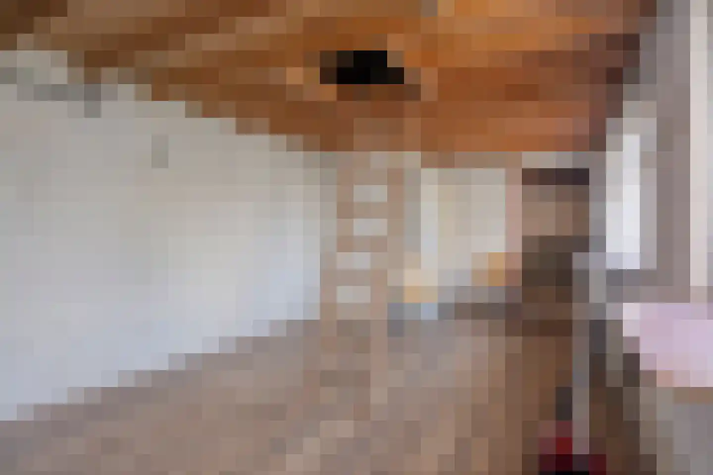 Vendelierstraat 12 Oirschot thumbnail 32