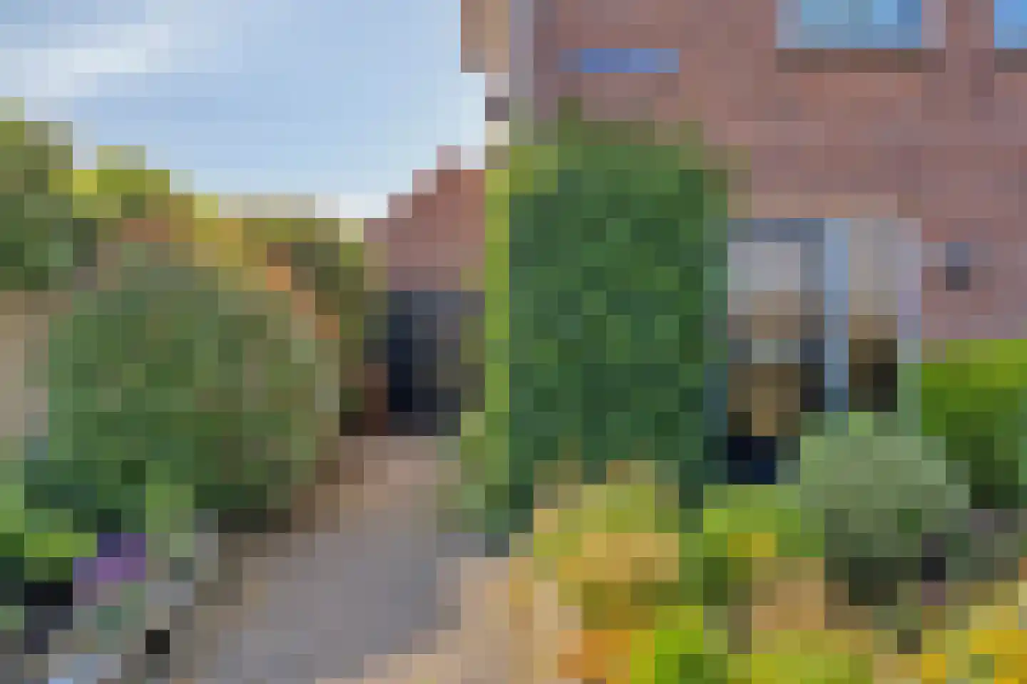 Vendelierstraat 12 Oirschot thumbnail 6
