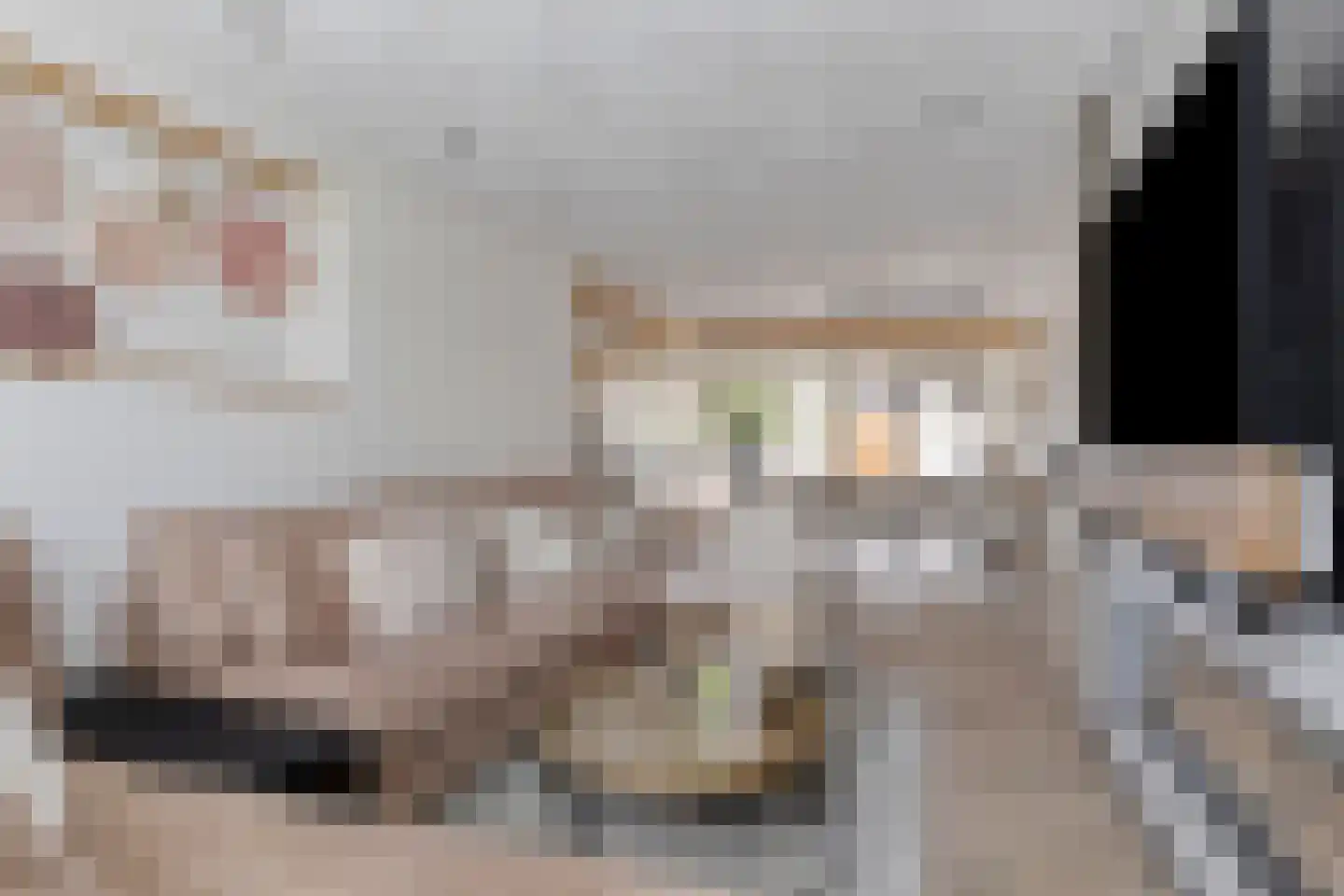 Vendelierstraat 2 Oirschot thumbnail 11