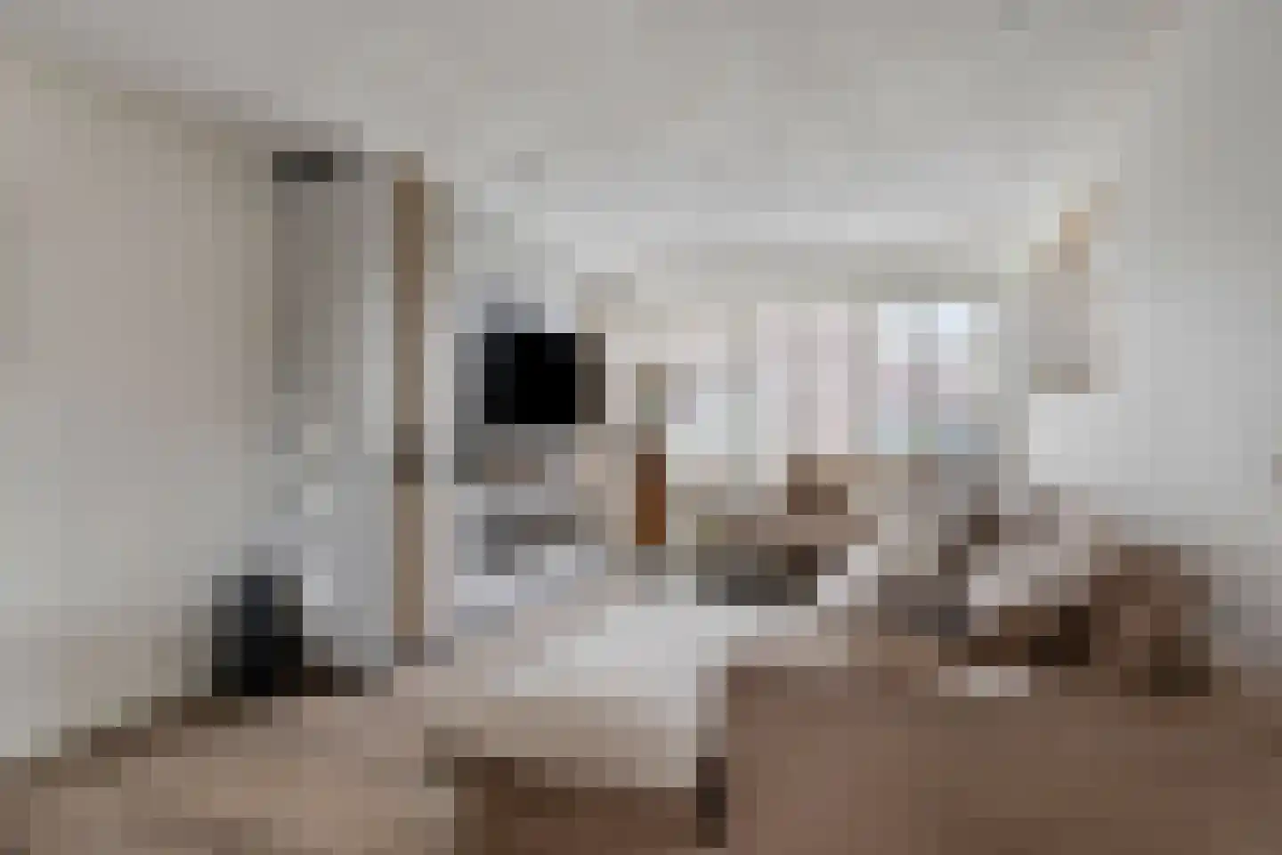 Vendelierstraat 2 Oirschot thumbnail 12