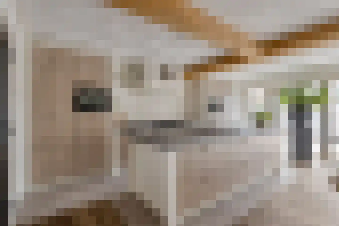 Vendelierstraat 2 Oirschot thumbnail 18