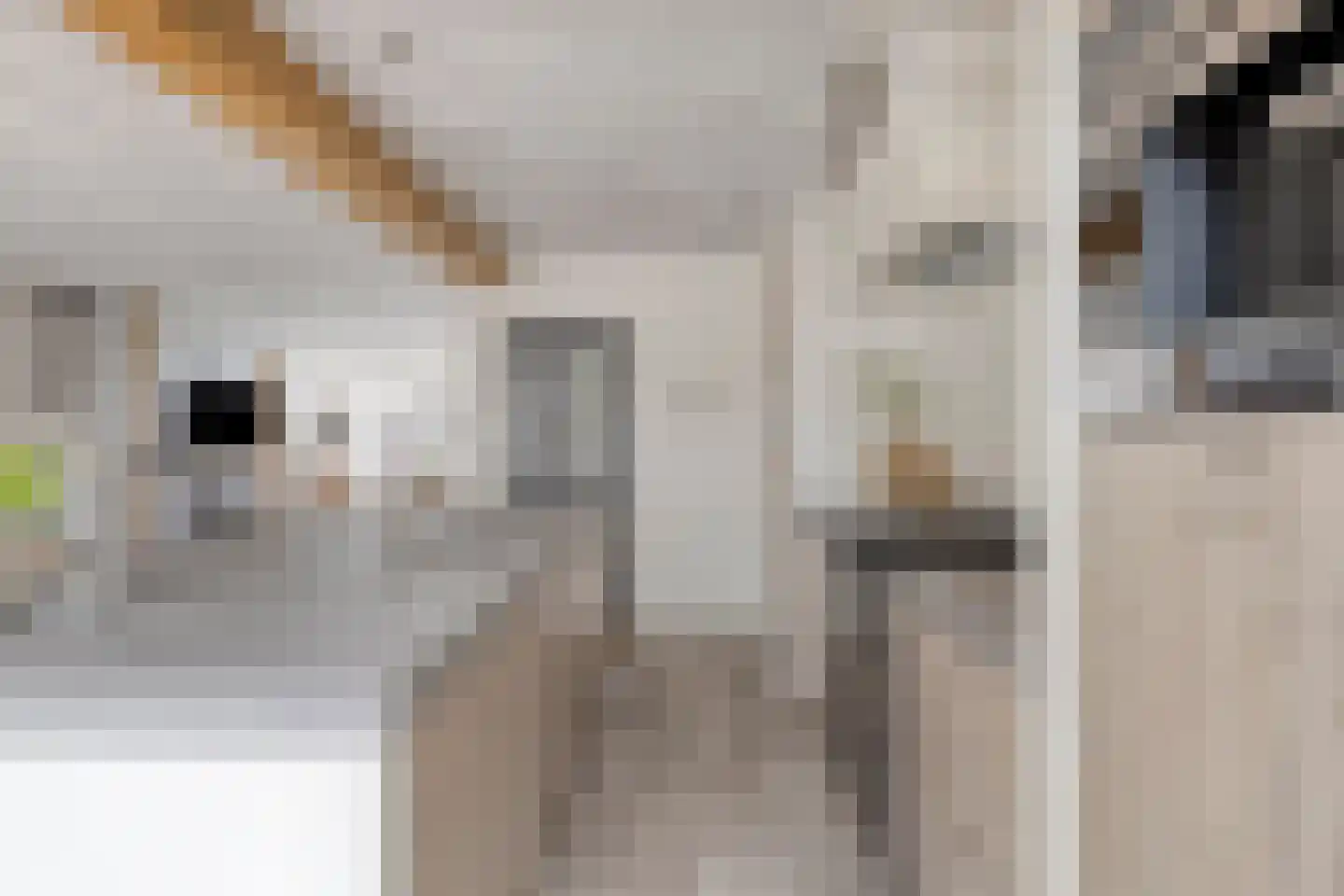 Vendelierstraat 2 Oirschot thumbnail 21
