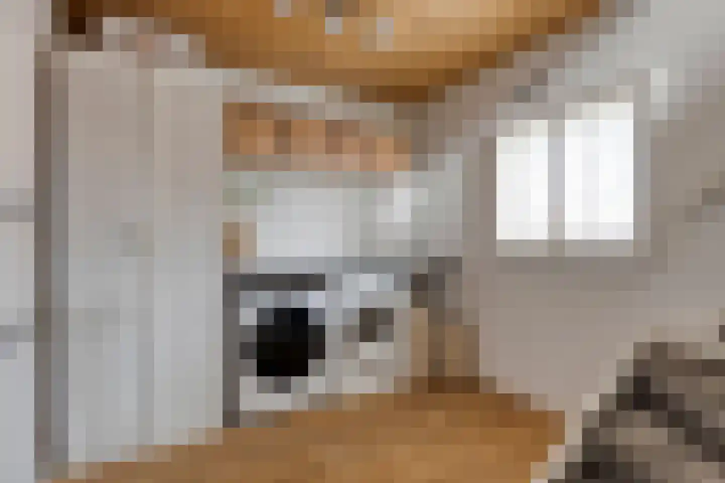 Vendelierstraat 2 Oirschot thumbnail 23