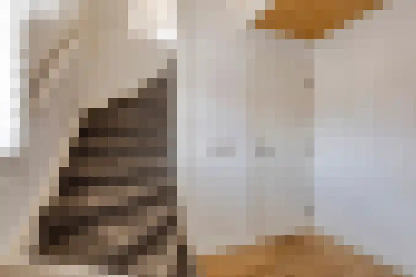 Vendelierstraat 2 Oirschot thumbnail 24