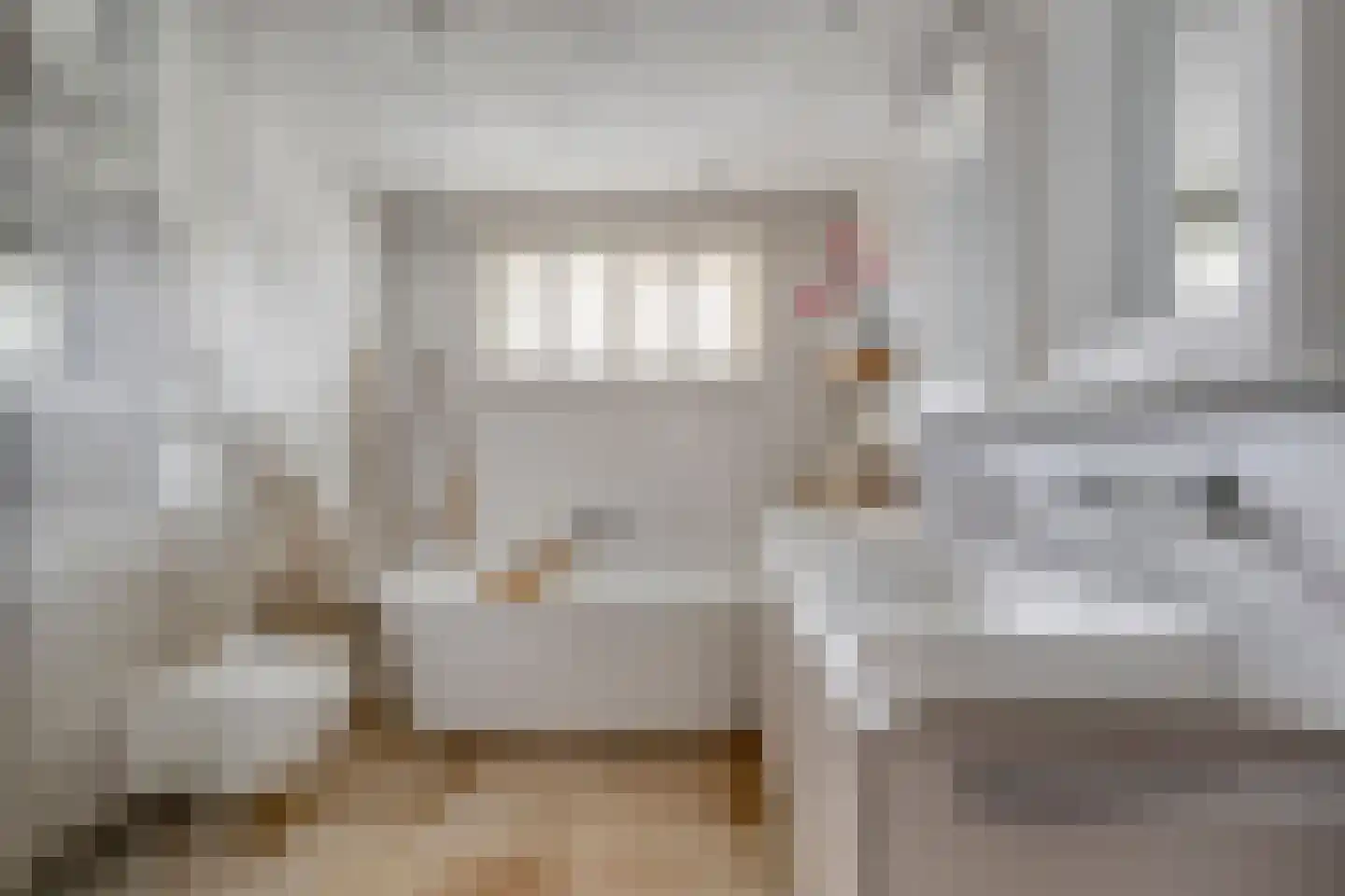 Vendelierstraat 2 Oirschot thumbnail 30