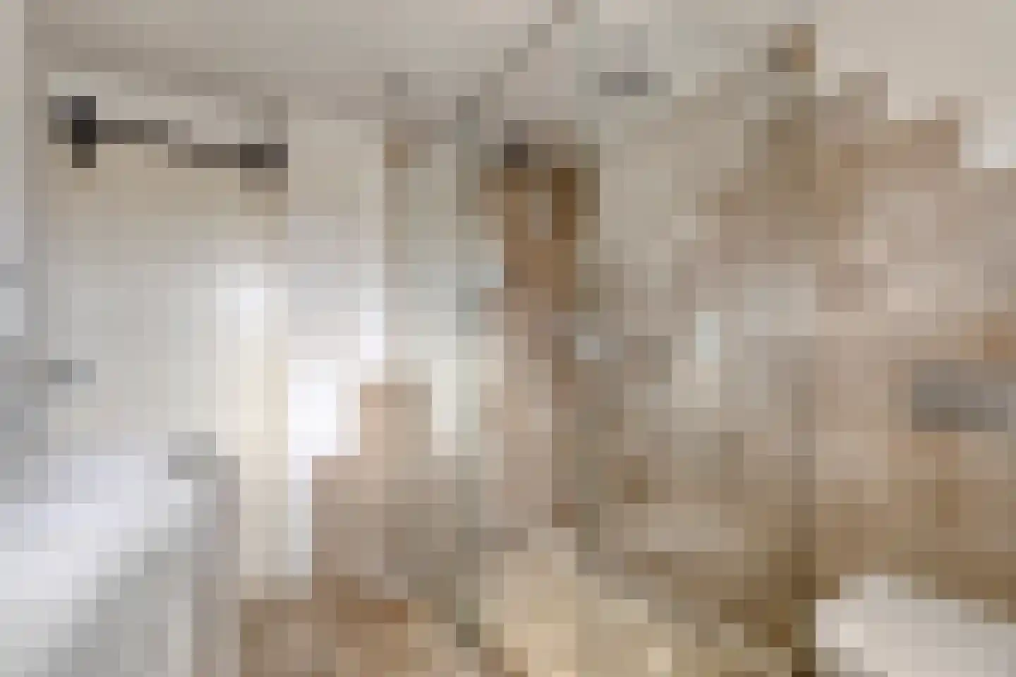 Vendelierstraat 2 Oirschot thumbnail 31