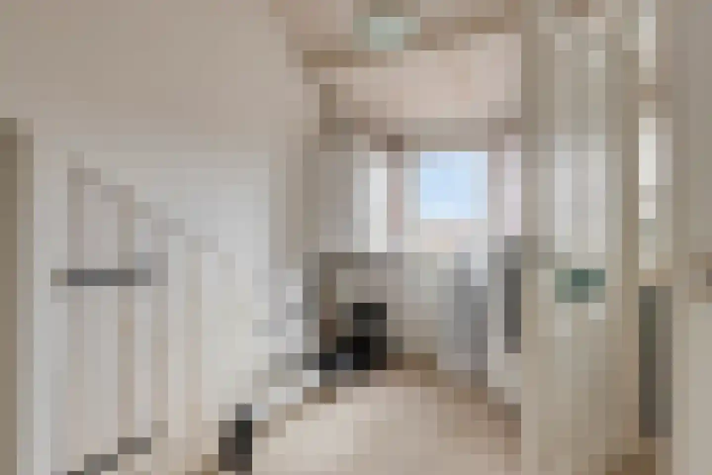 Vendelierstraat 2 Oirschot thumbnail 33